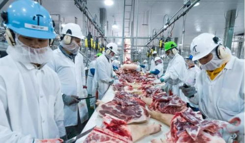 7月14日猪价4连涨,猪肉市场行情走势如何 很快打回原形